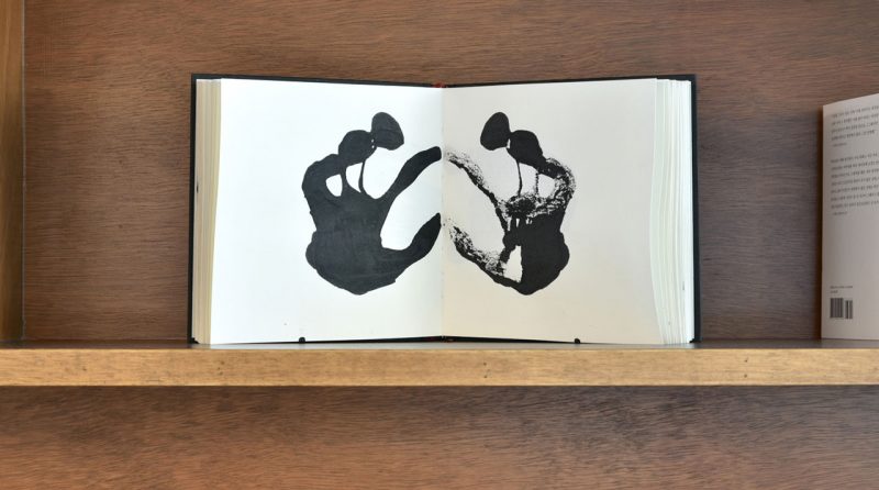 in_the_middle_of_oasis_5