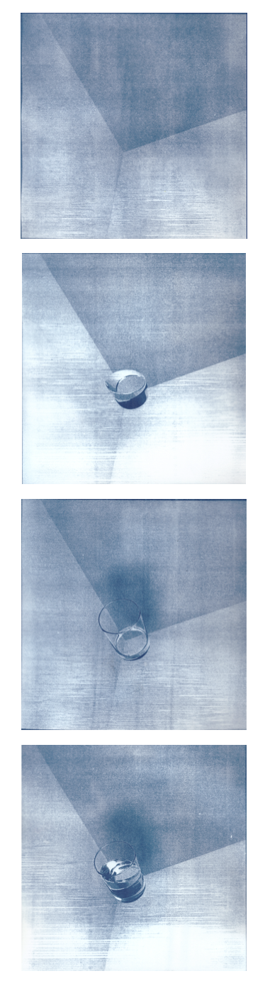 손현선, 뷰티_서서히, 2018, 종이에 시아노타입 프린트