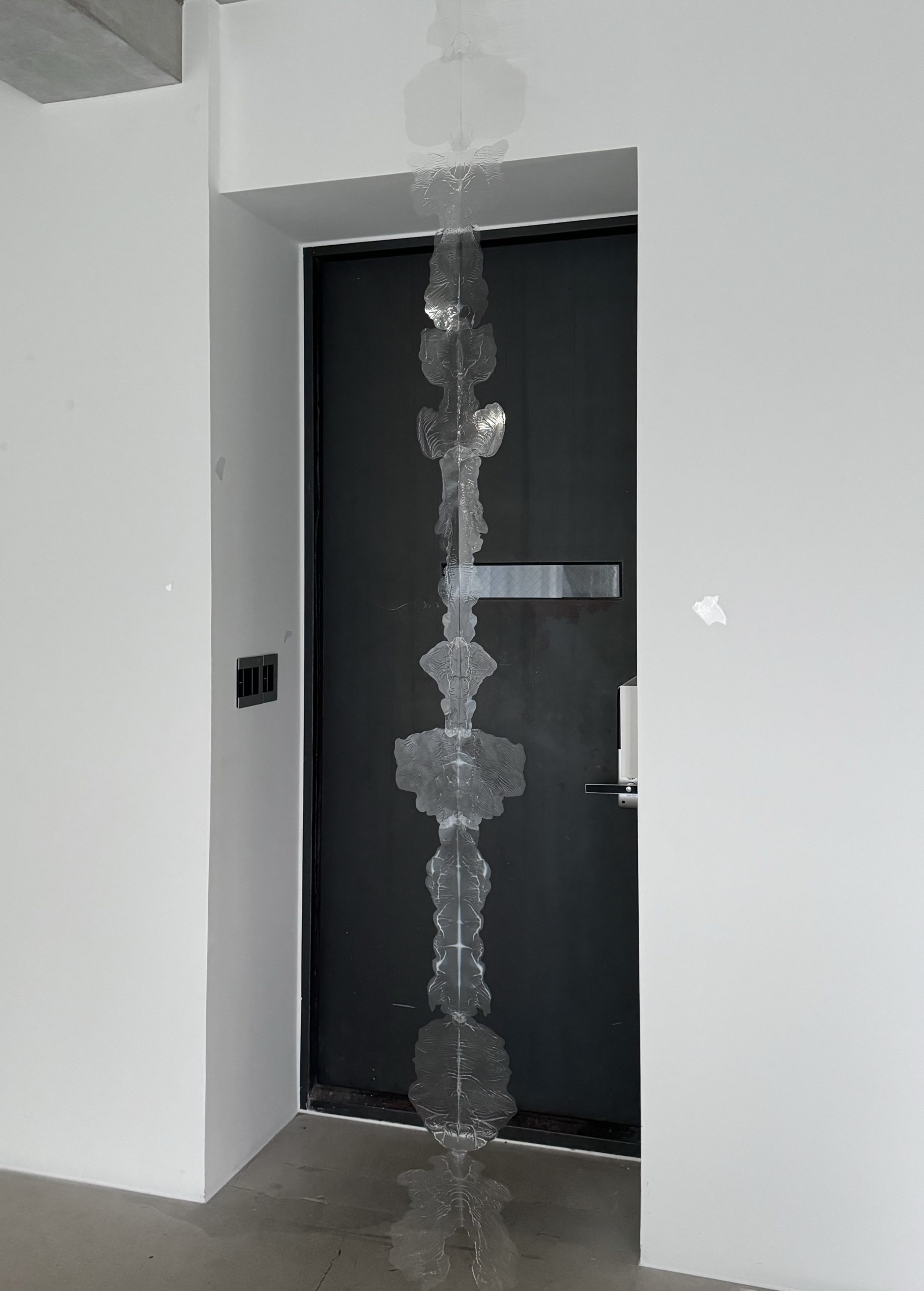 손현선, 투명-몸, 2023, 투명 필름 위에 젤 미디엄, 가변크기, 가별설치