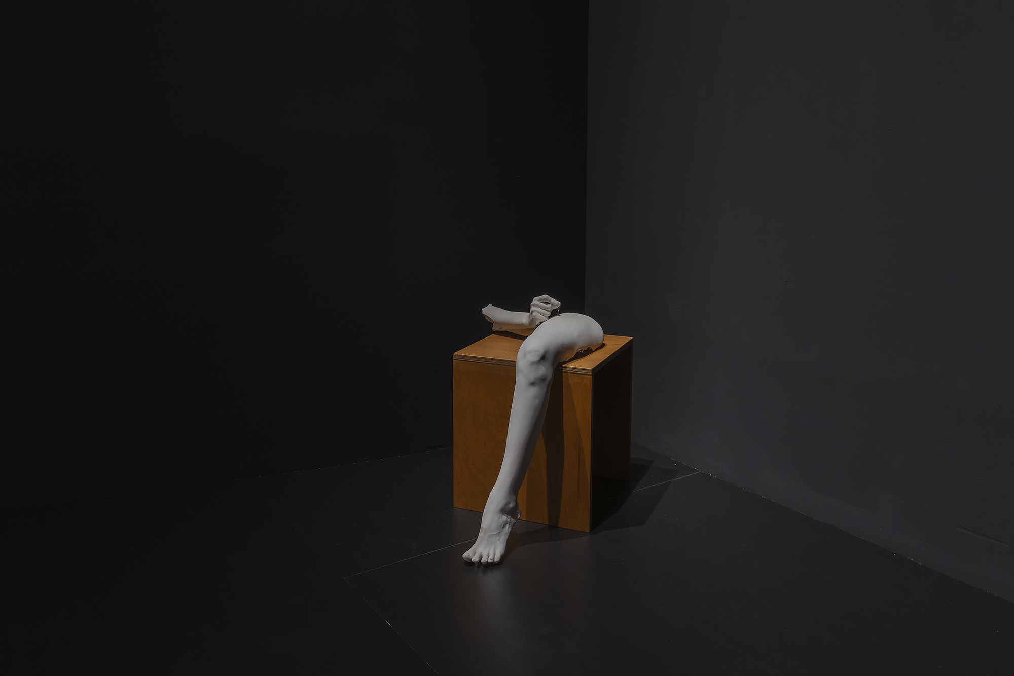 윤지영, 오금쟁이 위로 다섯 치, 거기서 세 치 반, 2021, 국립현대미술관 제공. 사진 CJY ART STUDIO (조준용)