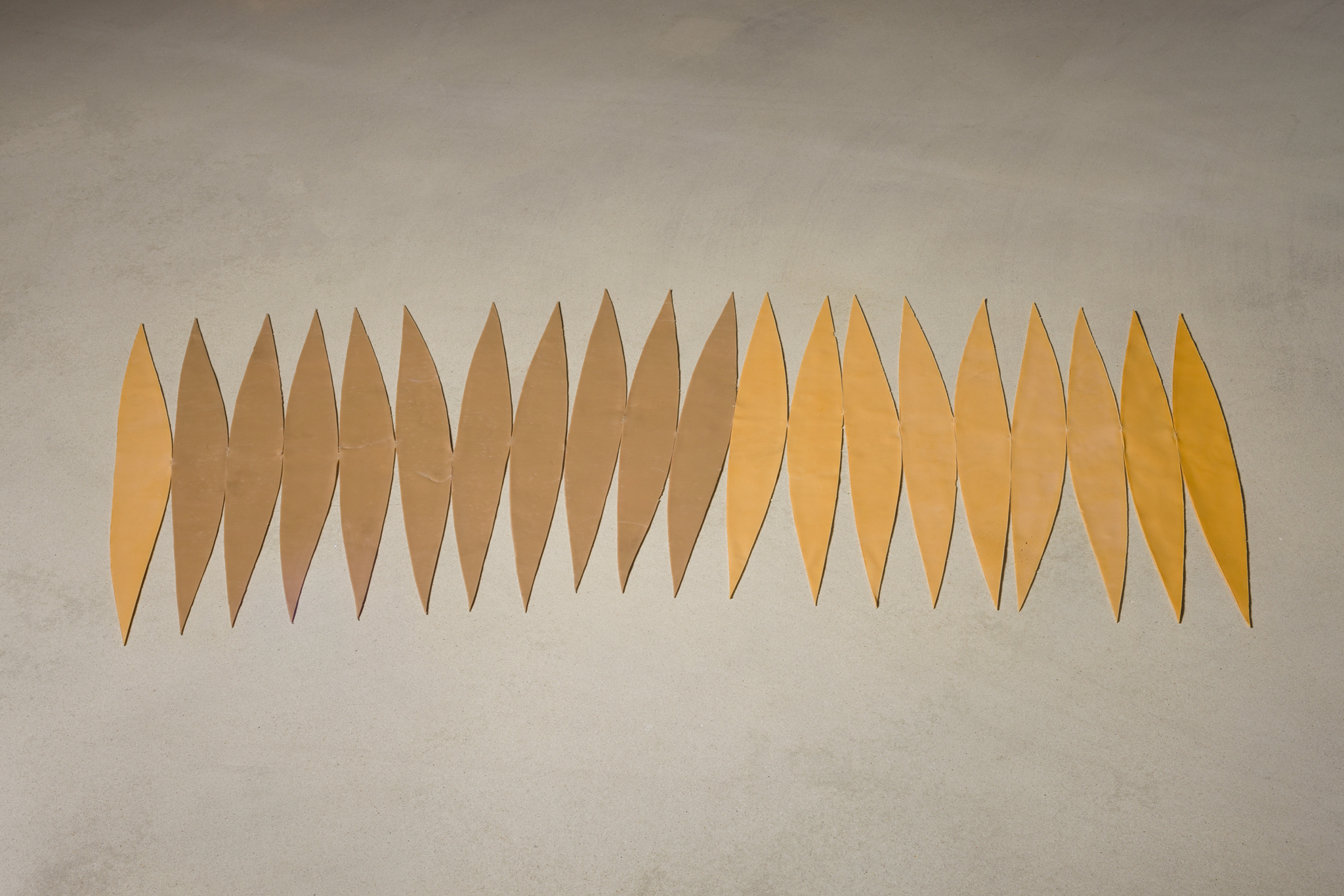 윤지영, 원기둥으로 추정되는, 2018, 지름이 51cm인 원을 쌀 수 있을 크기