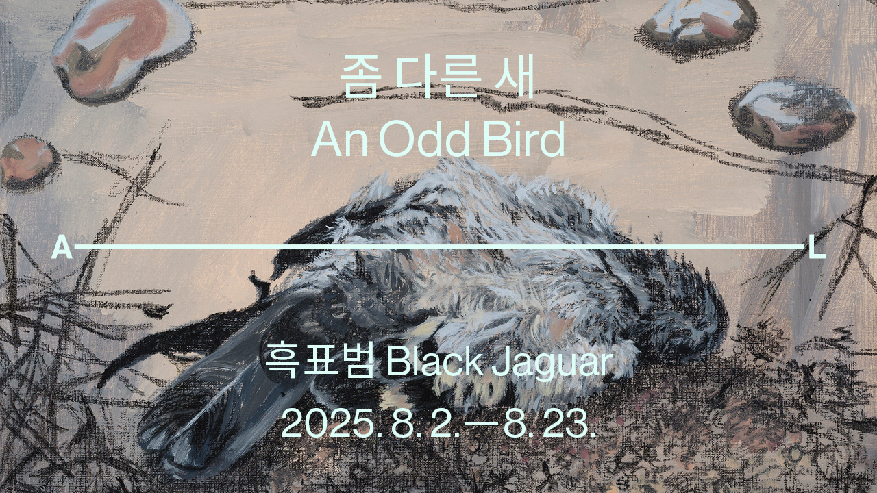 [흑표범] 홈페이지2