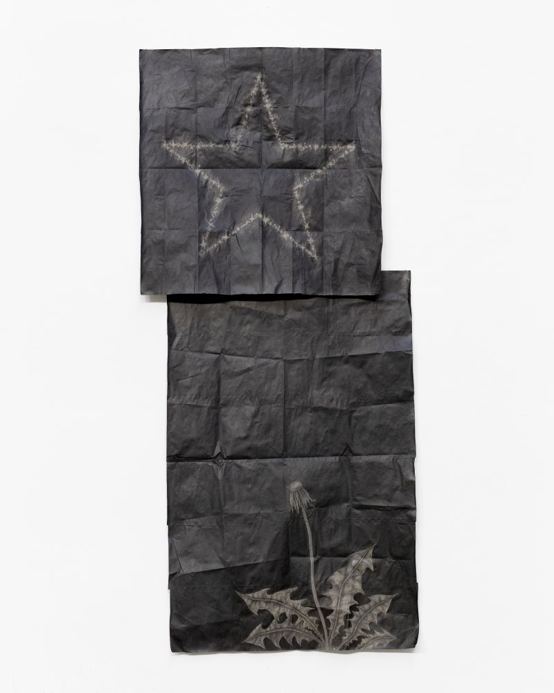 (저화질)Z.T. Nguyen, Star Star and Dandelion, 2024, Graphite and acrylic on letter-sized sheets of paper, 80x35in